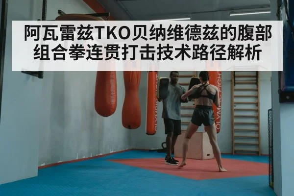 阿瓦雷兹TKO贝纳维德兹的腹部组合拳连贯打击技术路径解析