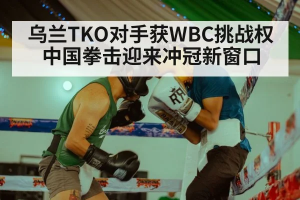 乌兰TKO对手获WBC挑战权 中国拳击迎来冲冠新窗口